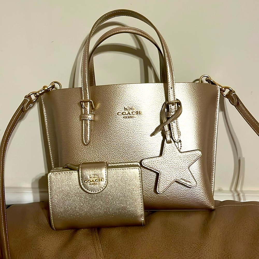 Coach Andrea Carryall Bag Gold/Light Champagne regular size w/matching wallet